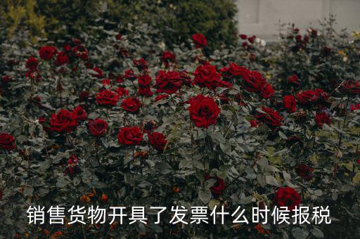 銷(xiāo)售貨物開(kāi)具了發(fā)票什么時(shí)候報(bào)稅