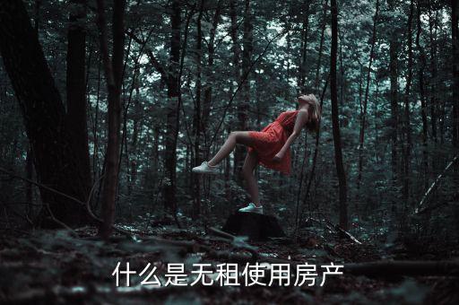 什么是無(wú)租使用房產(chǎn)，請(qǐng)問(wèn)在經(jīng)濟(jì)法里無(wú)租使用房產(chǎn)是什么意思
