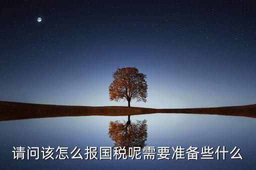請問該怎么報國稅呢需要準備些什么