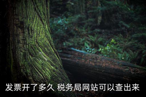 稅局一般什么時(shí)候查發(fā)票，增值稅發(fā)票開多久能在國(guó)家稅務(wù)局查到