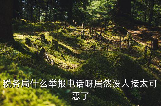 什么叫稅務(wù)舉報(bào)，稅務(wù)局什么舉報(bào)電話呀居然沒人接太可惡了