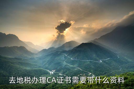 地稅ca帶什么，去地稅簽三方協(xié)議需要以下東西第四個CA是什么意思啊