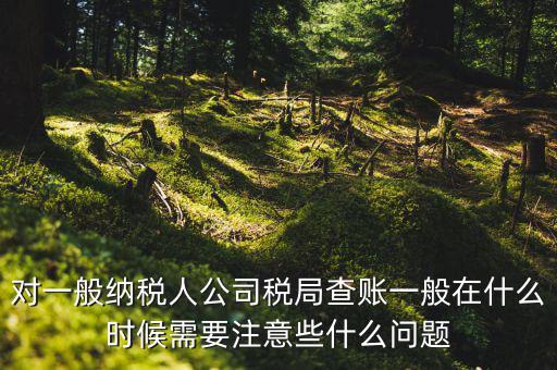 一般地稅稽查會(huì)在什么時(shí)候，稅務(wù)局什么時(shí)候會(huì)查賬不申報(bào)有哪些后果