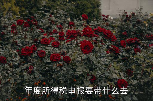 納稅申報(bào)應(yīng)帶什么東西，你好 到稅務(wù)局報(bào)稅需要帶什么東西怎么報(bào)
