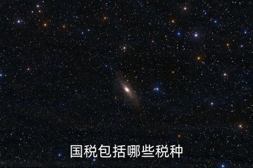 國稅局主要收什么稅，國稅包括哪些稅種