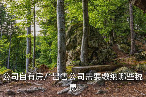 銷售房產(chǎn)公司交什么稅，銷售房產(chǎn)繳納什么稅