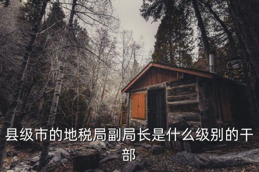 地稅局副局什么級(jí)別，縣級(jí)市的地稅局副局長是什么級(jí)別的干部