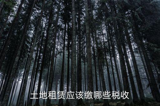土地租賃需要交什么稅，土地租賃應(yīng)該繳哪些稅收