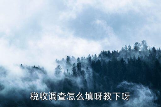 稅收調(diào)查主要調(diào)查什么，企業(yè)所得稅稅收調(diào)查