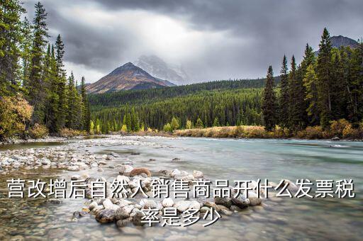 自然人開票的稅號(hào)是什么意思，營改增后自然人銷售商品開什么發(fā)票稅率是多少