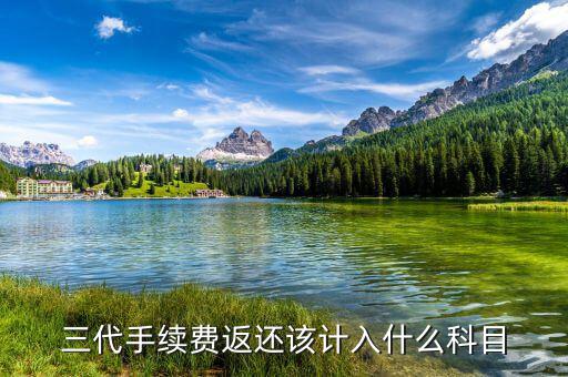 什么叫三代手續(xù)費(fèi)，三代手續(xù)費(fèi)返還該計(jì)入什么科目
