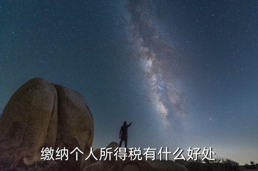 個人報稅有什么用，個人自行納稅申報有什么好處