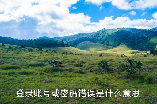 陜西電子稅務(wù)局登錄賬號(hào)是什么意思，登錄賬號(hào)或密碼錯(cuò)誤是什么意思
