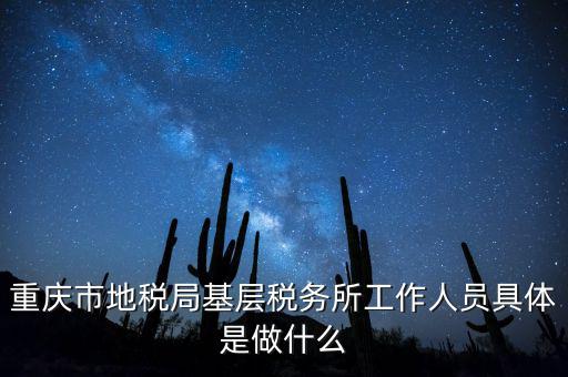 重慶地稅局前臺做什么的，重慶市地稅局基層稅務所工作人員具體是做什么
