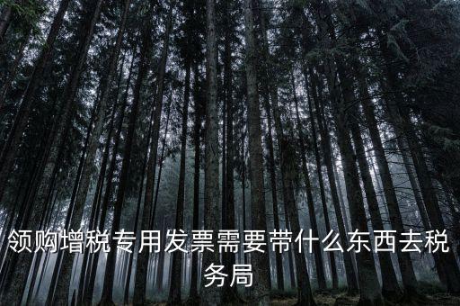 領(lǐng)專票帶什么資料，去稅務(wù)局領(lǐng)發(fā)票需要帶什么資料去
