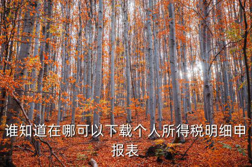 下載什么看申報(bào)稅，誰知道在哪可以下載個(gè)人所得稅明細(xì)申報(bào)表