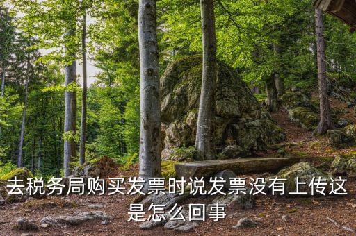 去稅務(wù)局購(gòu)買(mǎi)發(fā)票時(shí)說(shuō)發(fā)票沒(méi)有上傳這是怎么回事