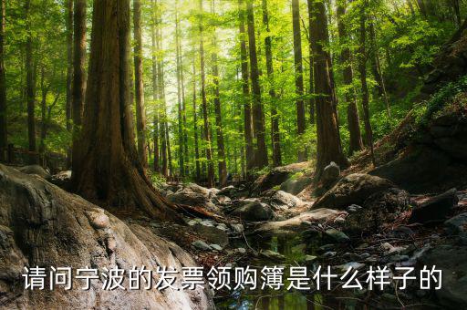 發(fā)票領(lǐng)用簿什么樣子，會計發(fā)票領(lǐng)購沒經(jīng)驗想請問領(lǐng)購的發(fā)票時什么樣的有金額顯示嗎