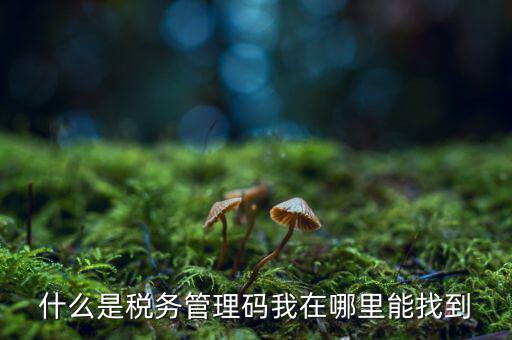 汽車保險(xiǎn)稅務(wù)登記號(hào)是什么，稅務(wù)登記號(hào)查詢
