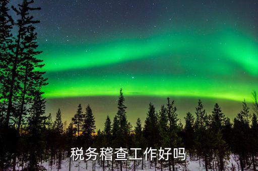 國(guó)稅局稽查局什么工作總結(jié)，稅務(wù)稽查工作好嗎