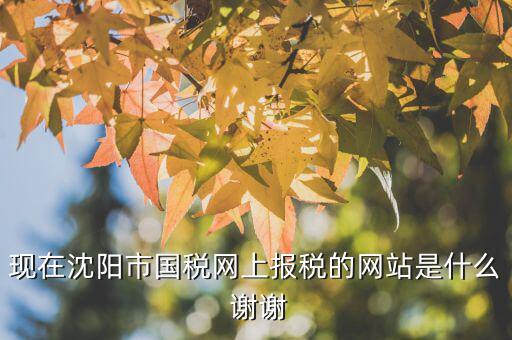 國(guó)稅交稅的網(wǎng)站是什么，現(xiàn)在沈陽(yáng)市國(guó)稅網(wǎng)上報(bào)稅的網(wǎng)站是什么 謝謝