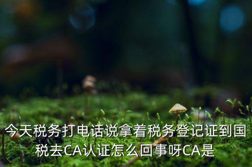稅務(wù)局ca證書是什么，今天稅務(wù)打電話說拿著稅務(wù)登記證到國稅去CA認(rèn)證怎么回事呀CA是