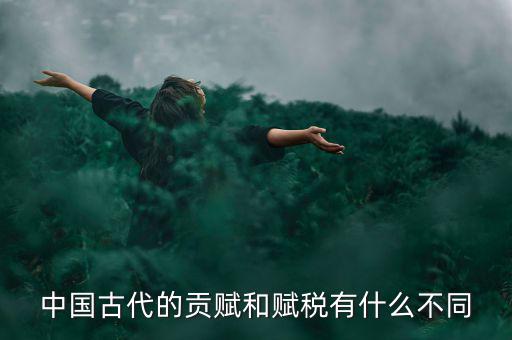 賦稅古代指什么，秦朝賦稅嚴(yán)重被稱為什么的