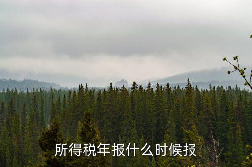 國稅企業(yè)所得稅年報什么時候開始報，什么時間報企業(yè)所得稅年度納稅