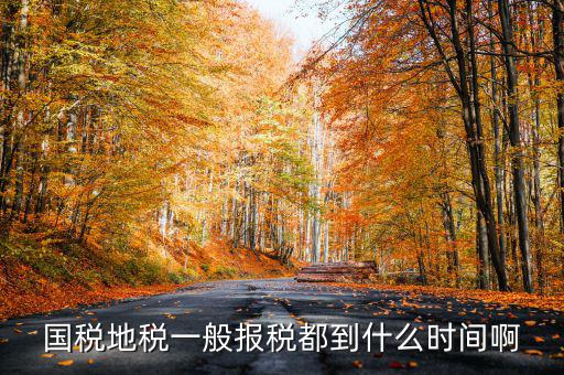 國稅上報省局什么時候，國稅地稅網(wǎng)上報稅時間