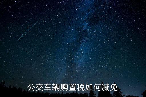 什么是公共汽電車輛，上海市公共汽電車乘車規(guī)則一共多少條
