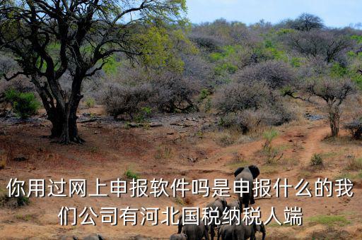 稅友報(bào)稅的軟件叫什么，你用過(guò)網(wǎng)上申報(bào)軟件嗎是申報(bào)什么的我們公司有河北國(guó)稅納稅人端
