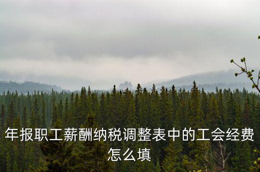 工會(huì)經(jīng)費(fèi)應(yīng)稅項(xiàng)填什么，網(wǎng)上報(bào)稅時(shí)又多了一項(xiàng)工會(huì)經(jīng)費(fèi)怎樣填寫計(jì)算