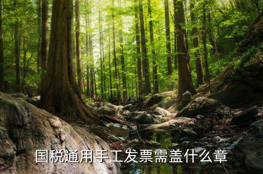 手工發(fā)票需注意什么，關(guān)于手工發(fā)票填開(kāi)的問(wèn)題