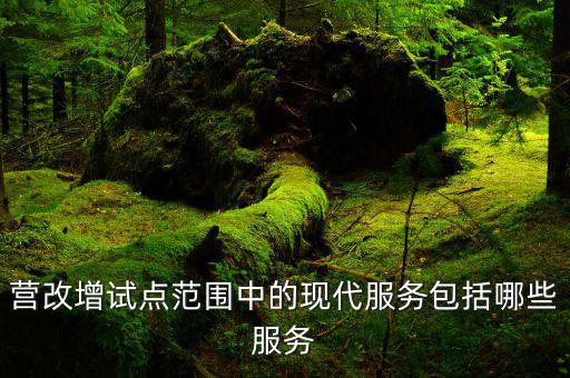 現(xiàn)代服務(wù)包括什么意思，什么是中國現(xiàn)代服務(wù)業(yè)