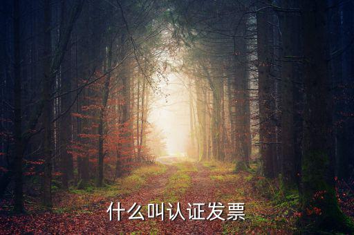 什么叫認證發(fā)票，什么叫認證增值稅發(fā)票如何認證好像還有手工認證是怎么回事啊