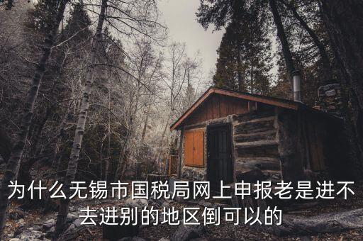無錫網(wǎng)上辦稅服務(wù)廳為什么進不去，為什么我登錄不上網(wǎng)上辦稅服務(wù)廳啊