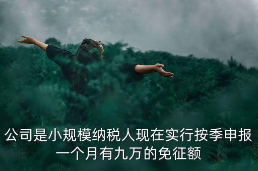 公司是小規(guī)模納稅人現(xiàn)在實(shí)行按季申報(bào)一個(gè)月有九萬(wàn)的免征額