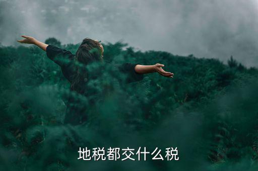 地稅需要報(bào)什么稅種，地稅應(yīng)交哪些稅