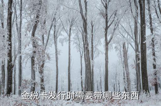 金稅盤發(fā)行帶什么，金稅卡發(fā)行時(shí)需要帶哪些東西