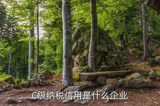 稅務等級c級是什么意思，申請一般納稅人abc類是什么意思