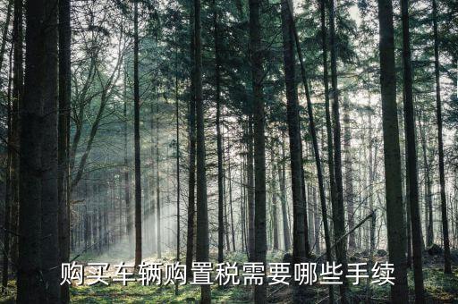 車購置稅證明什么手續(xù)，購買車輛購置稅需要哪些手續(xù)