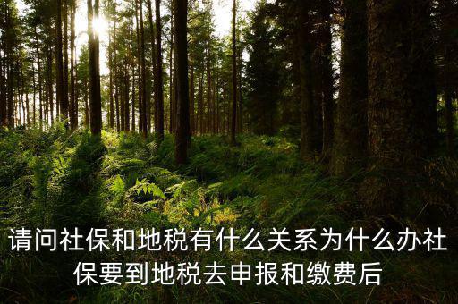 社保和地稅有什么關(guān)系，我現(xiàn)在不知道怎么辦理社保都辦理好了可跟地稅有什么關(guān)系呀