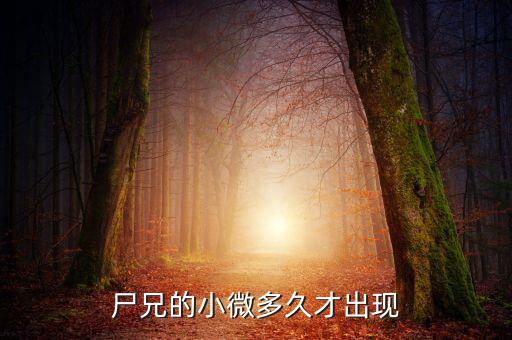 尸兄的小微多久才出現