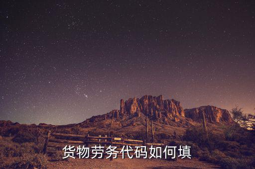 貨物勞務(wù)代碼是什么，貨物勞務(wù)代碼如何填