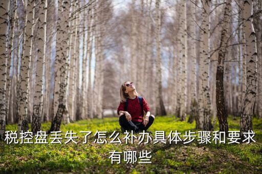 稅控盤丟失為什么要報案嗎，稅控盤丟失怎么處理