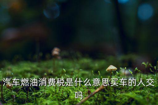 汽車(chē)燃油消費(fèi)稅是什么意思買(mǎi)車(chē)的人交嗎