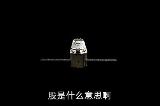 人教股什么意思，股是什么意思啊