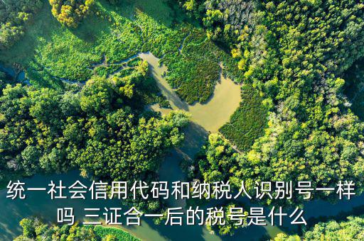 無證合一后稅號是什么意思，五證合一之后怎么查看稅號
