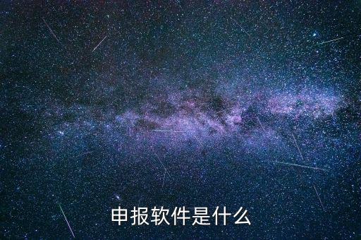 國(guó)稅申報(bào)軟件叫什么，申報(bào)軟件是什么