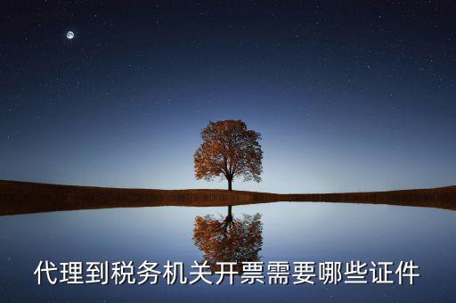 國稅代理開票需要什么，代開普通國稅發(fā)票要什么資料
